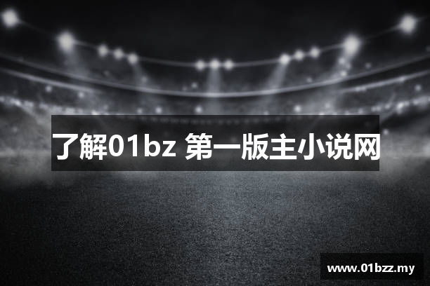 了解01bz 第一版主小说网